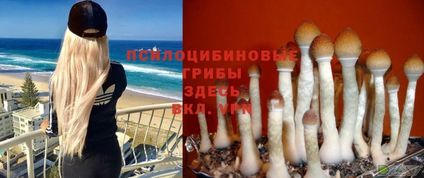 кристаллы Алзамай