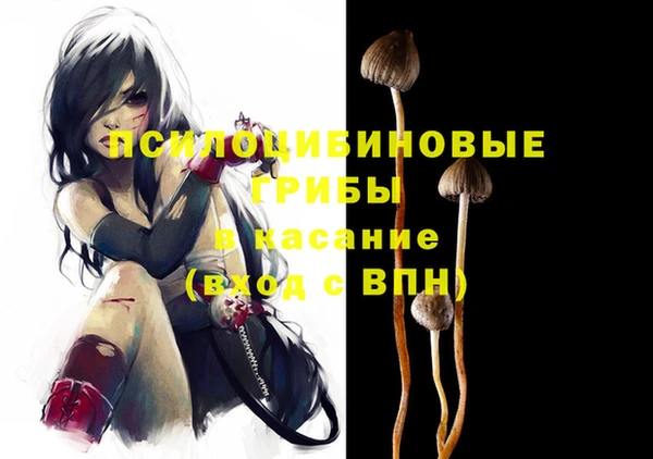 дживик Аркадак