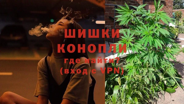 дживик Аркадак